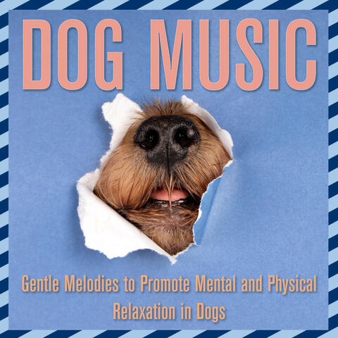 Dog Music: Gentle Melodies to Promote Mental and Physical Relaxation in Dogs