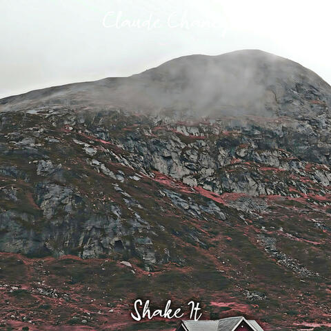 Shake It