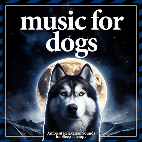 Music For Dogs - Ambient Relaxation Sounds for Sleep Therapy