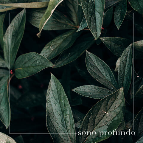 Sono Profundo