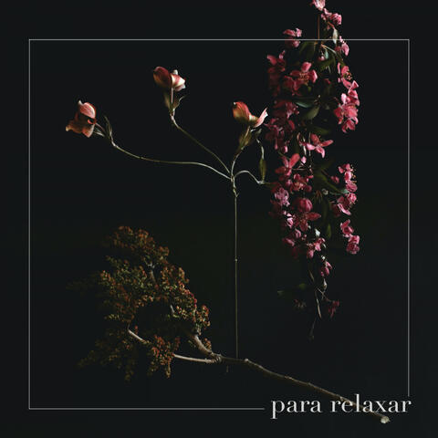 Para Relaxar