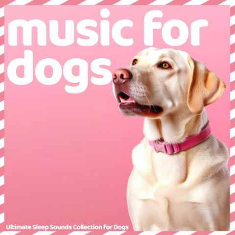 Music for Dogs - Ultimate Sleep Sounds Collection for Dogs