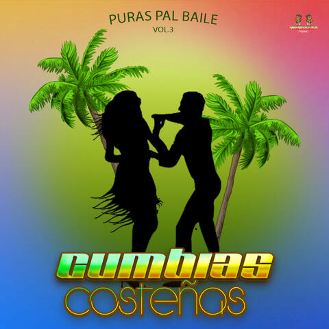 Puras Pal Baile Vol. 3