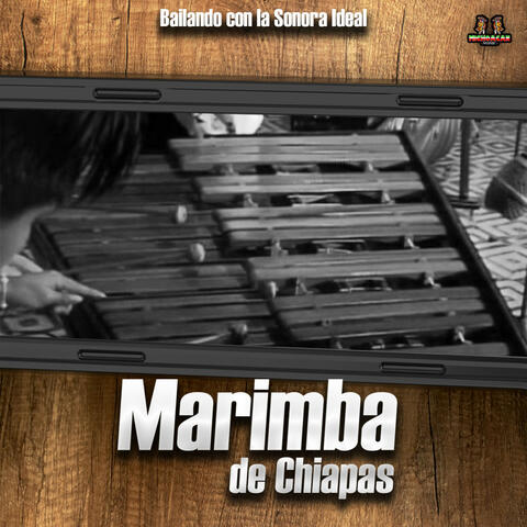 Bailando Con La Sonora Ideal