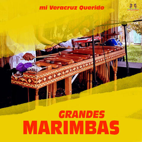 Mi Veracruz Querido
