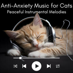 Calm Cascade Cadence