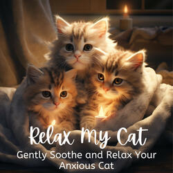 Soothe the Soul Serenade