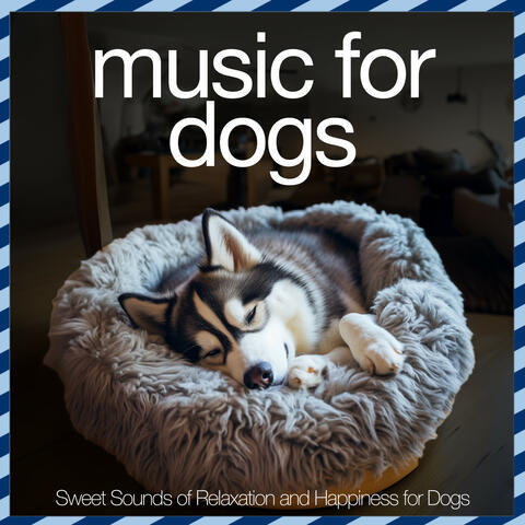 Music For Dogs - Sweet Sounds of Relaxation and Happiness for Dogs