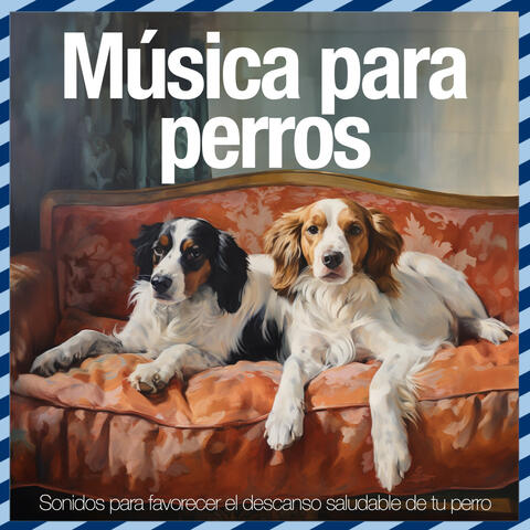 Música para perros - Sonidos para favorecer el descanso saludable de tu perro