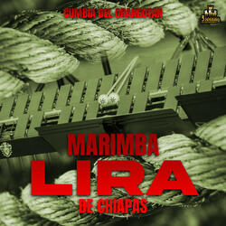 El Perro Y Sus Pulgas