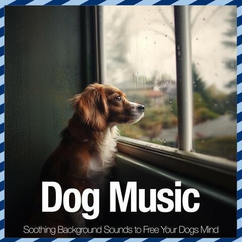 Dog Music - Soothing Background Sounds to Free Your Dogs Mind