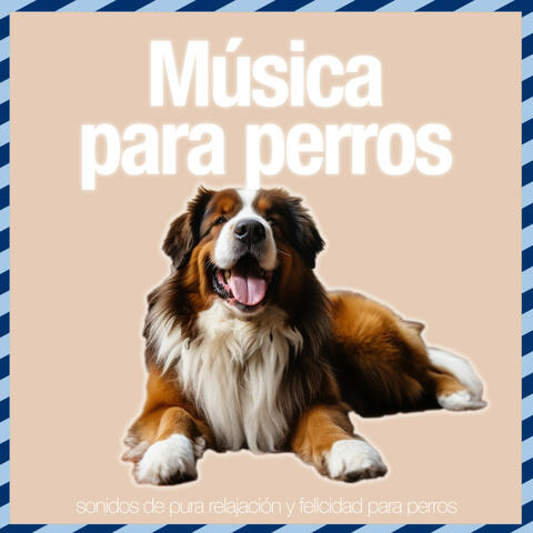 Música para perros: sonidos de pura relajación y felicidad para perros