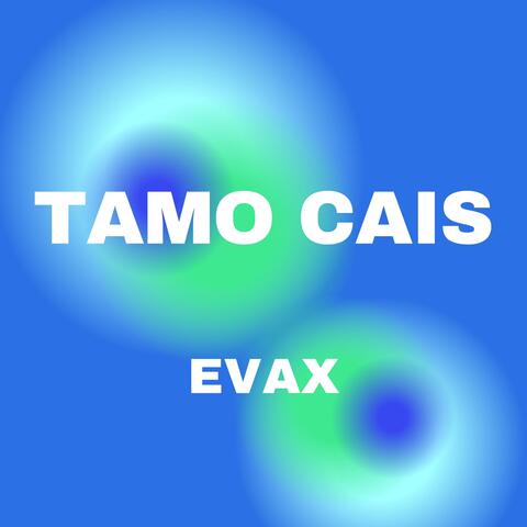 Tamo cais
