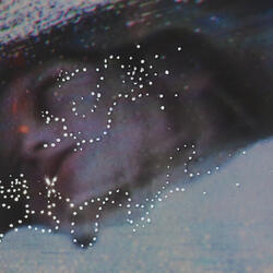 Let Fly Thy Vagabond Heart