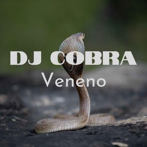 Veneno