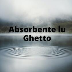 Absorbente lu