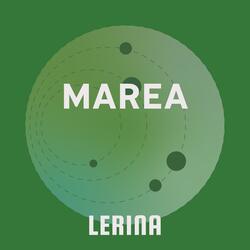 Marea