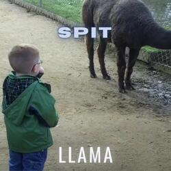 Spit