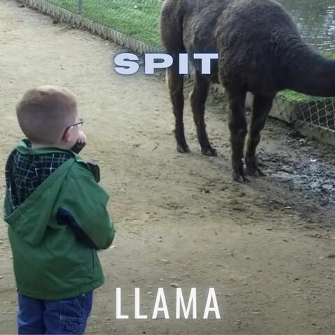 Spit