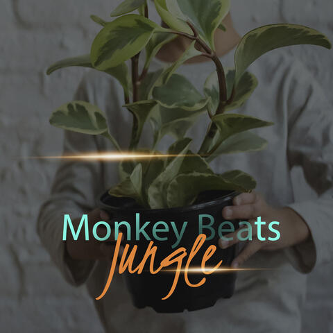 Jungle