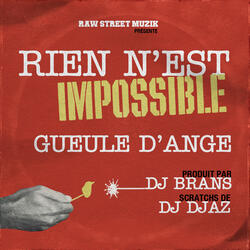 Rien N'est Impossible (feat. DJ Djaz) {DJ Low Cut remix}