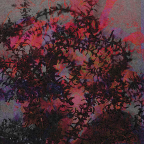 If I Love You EP