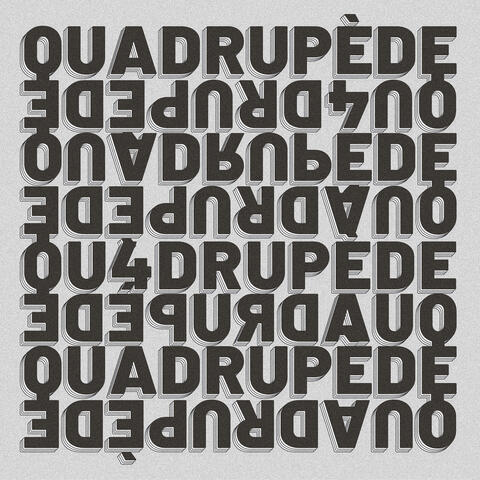 QU4DRUPÈDE