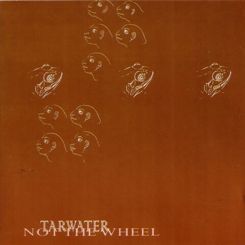 Not The Wheel