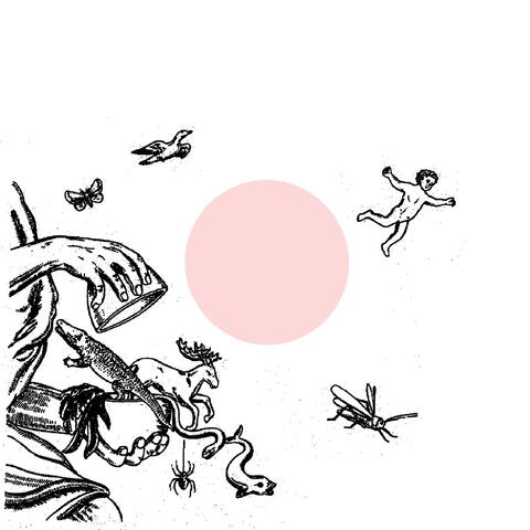 4wnc Landsleute Remixe