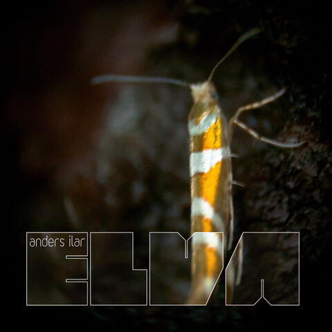 Elva