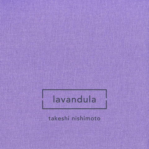 Takeshi Nishimoto