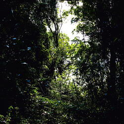 Takataka
