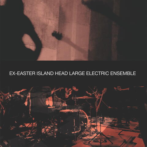 Large Electric Ensemble