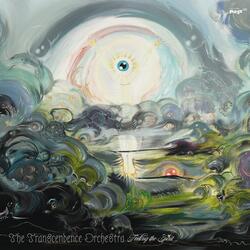Overview Effect