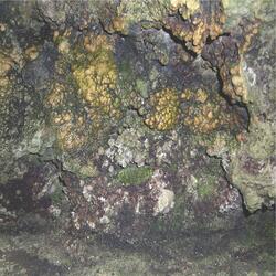 Elemental Disgrace 2