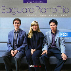 Piano Trio in F-Sharp Minor, Piano Trio in F-Sharp Minor: I. Largo - Allegro espressivo