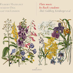 Flute Sonata in D Major, Flute Sonata in D Major: II. Allegro ma non troppo