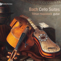 St. Matthew Passion, BWV 245 (Excerpts Arr. T. Hoppstock for Guitar), St. Matthew Passion, BWV 245 (Excerpts Arr. T. Hoppstock for Guitar): No. 11, Wer hat dich so geschlagen