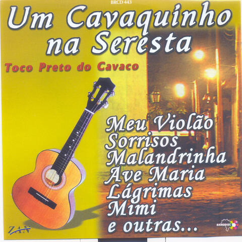 Um Cavaquinho na Seresta
