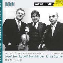 Piano Trio No. 1 in D Minor, Op. 49, MWV Q29, Piano Trio No. 1 in D Minor, Op. 49, MWV Q29: I. Molto allegro ed agitato