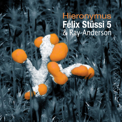 Hieronymus