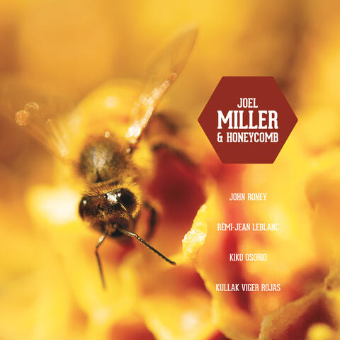 Joel Miller & Honeycomb
