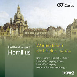 Steig, Allgewältiger, von deinem festen Sitze, HoWV II.43, Steig, Allgewältiger, von deinem festen Sitze, HoWV II.43: Aria. Noch sollen meine Wetter (Bass)