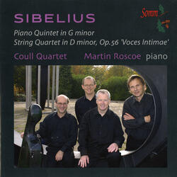 String Quartet in D Minor, Op. 56, "Voces Intimae", String Quartet in D Minor, Op. 56, "Voces Intimae": II. Vivace