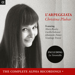 Chiacona (arr. C. Pluhar)