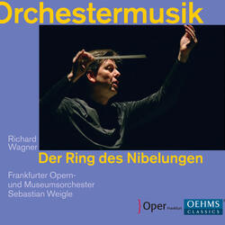 Götterdämmerung, Act III, Götterdämmerung, Act III: Siegfrieds Tod. Brünnhilde, heilige Braut!
