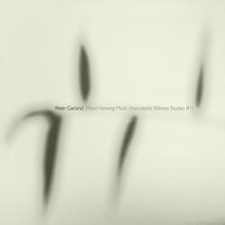 Moon Viewing Music (Inscrutable Stillness Studies No. 1), Moon Viewing Music (Inscrutable Stillness Studies No. 1): VI. I Cleansed the Mirror [Renseki]