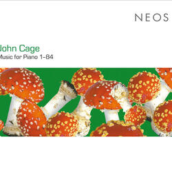 Music for Piano Nos. 21-36 and 37-52, Music for Piano Nos. 21-36