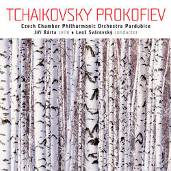 String Quartet No. 1 in D Major, Op. 11, String Quartet No. 1 in D Major, Op. 11: II. Andante cantabile (version for cello and string orchestra)
