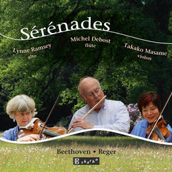 Serenade in D Major, Op. 77a, Serenade in D Major, Op. 77a: III. Presto